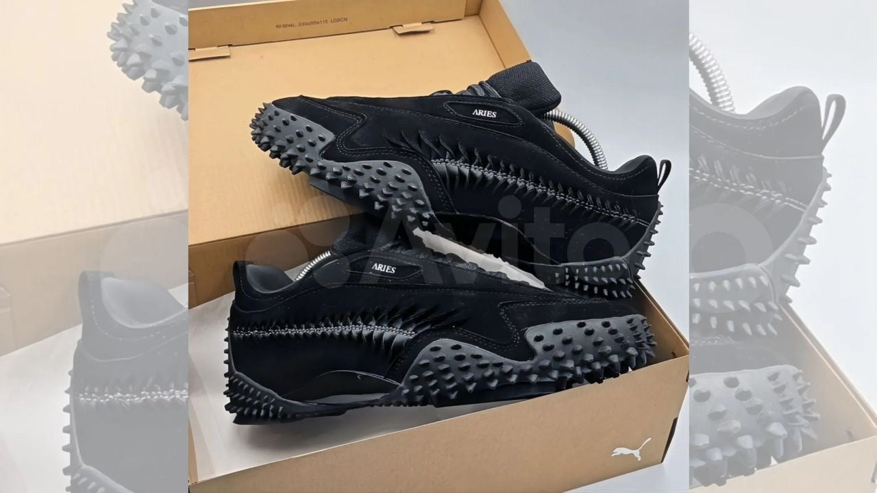 Puma x Aries