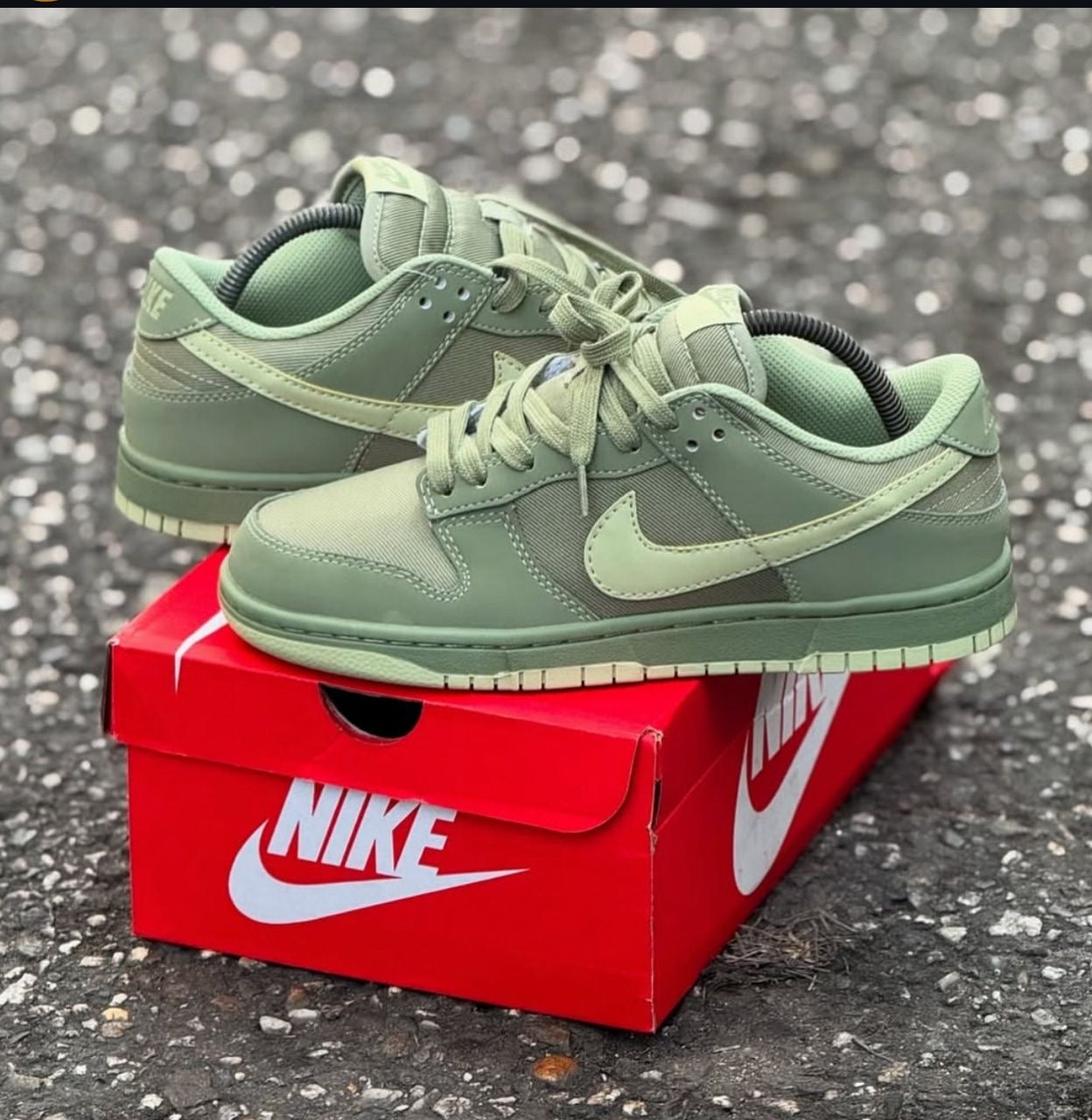Nike sb bink low