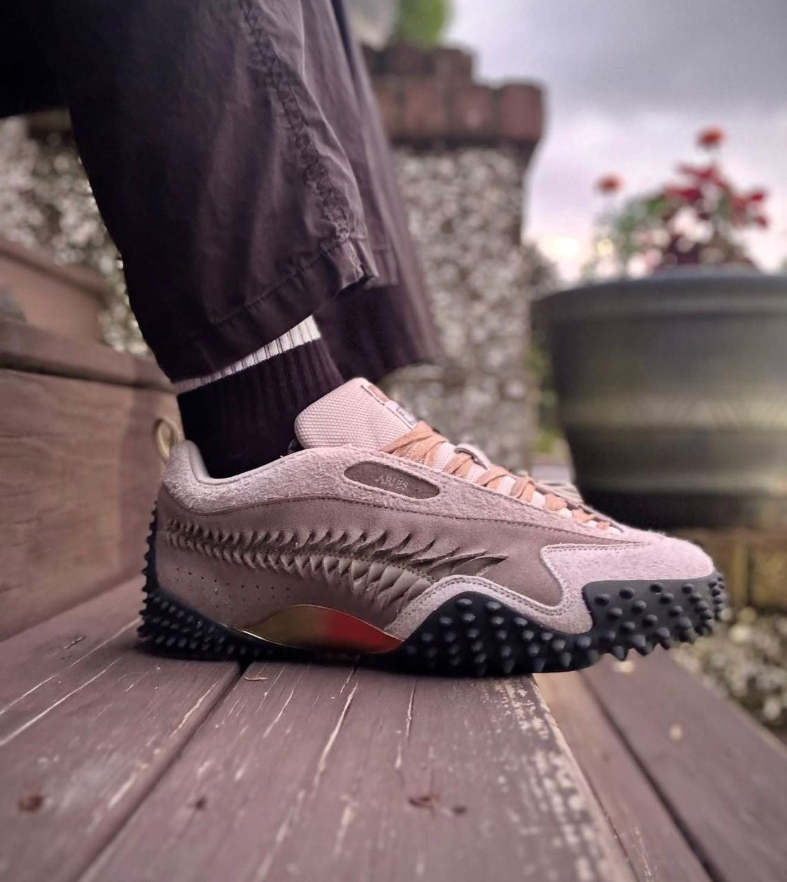 Puma x Aries