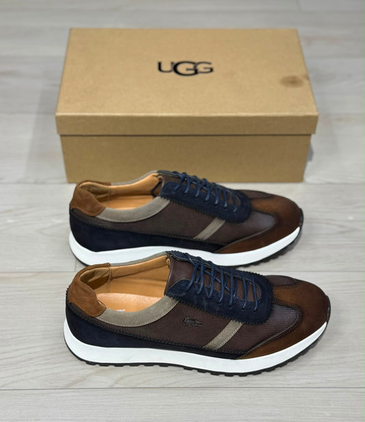 Alden Lacoste