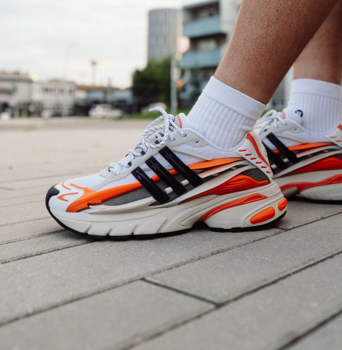 Adidas jellyflish Pharel wiliams