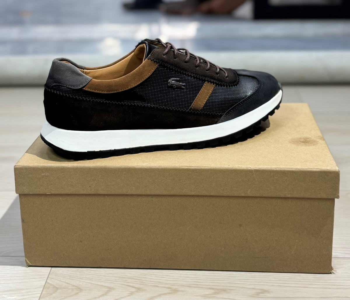 Alden Lacoste