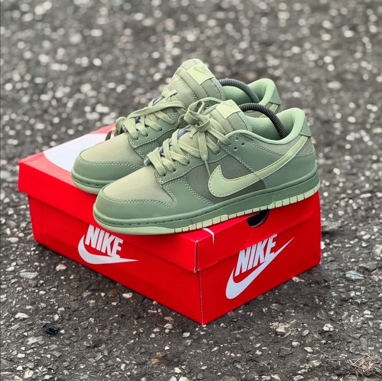 Nike sb bink low
