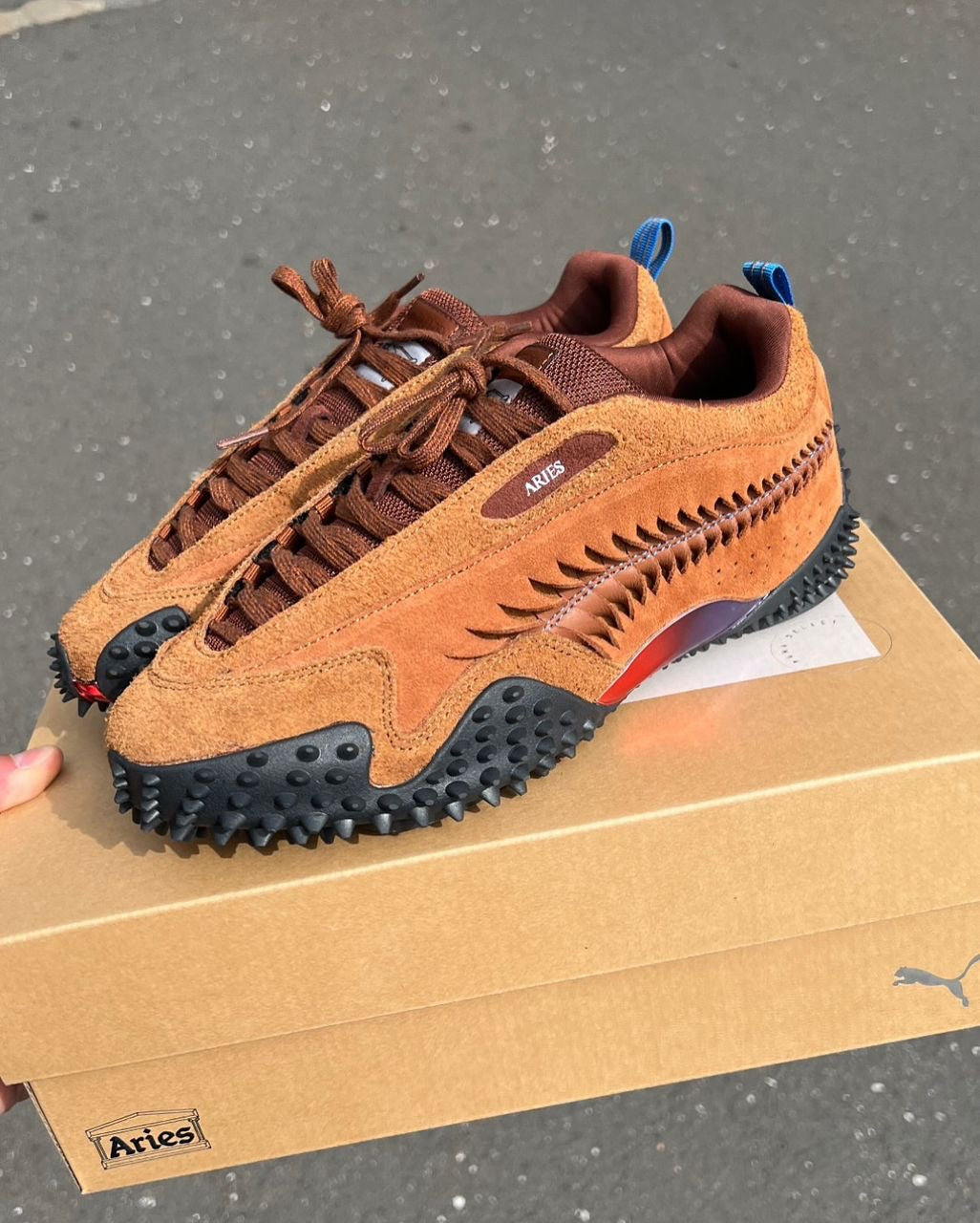 Puma x Aries