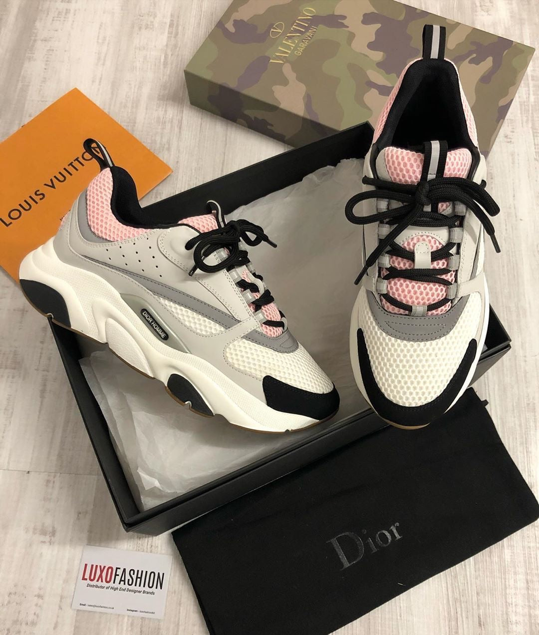 Dior b22