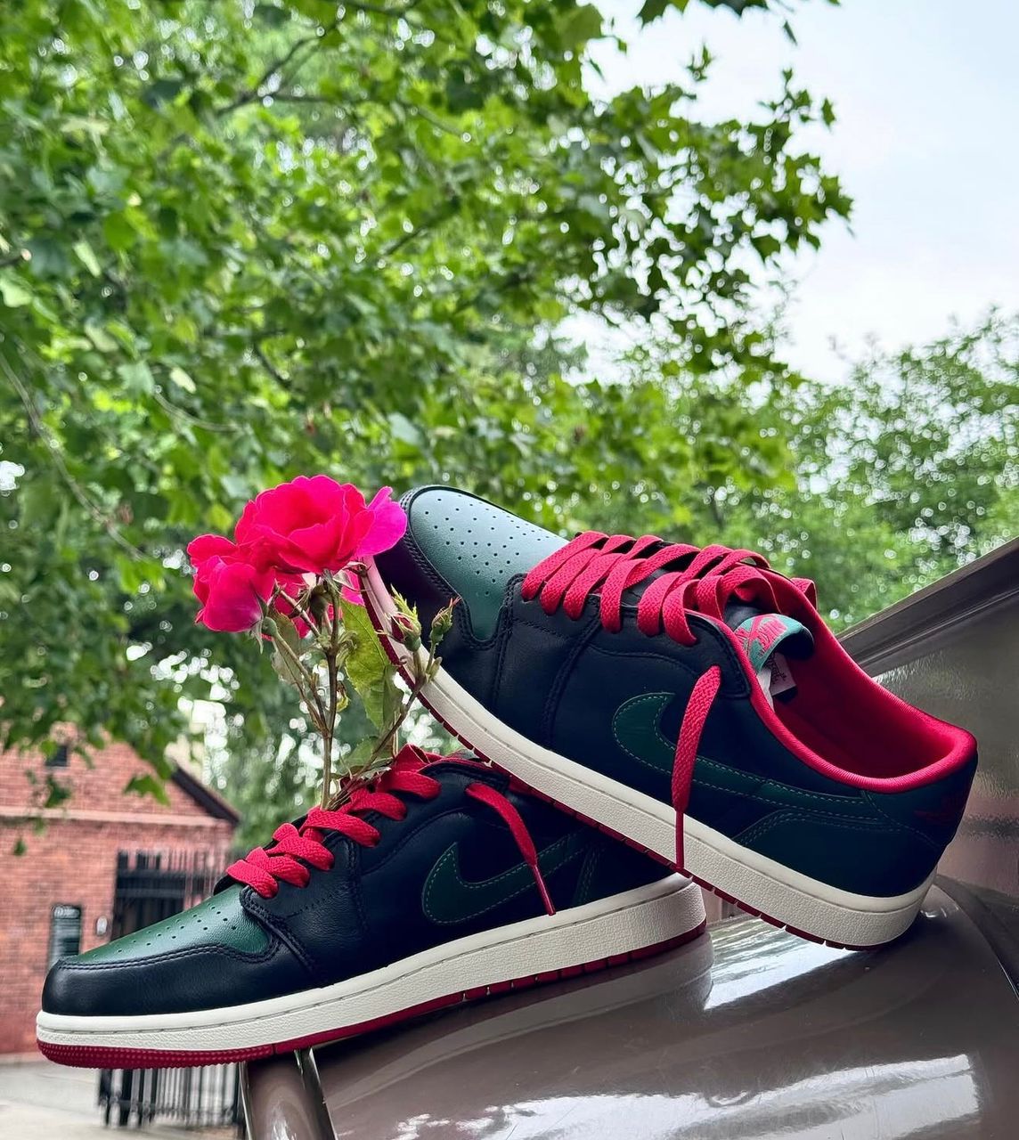 Jordan low