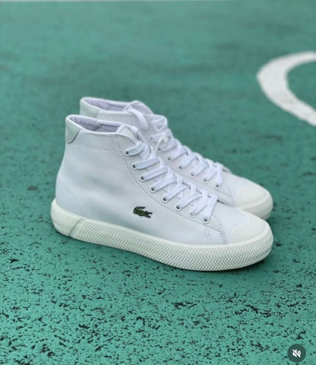 Lacoste