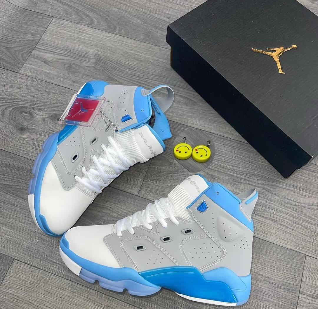 Air Jordan 6 retro