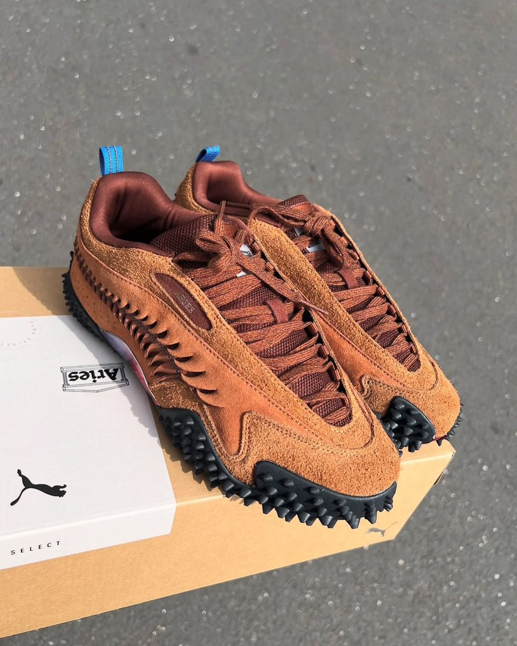 Puma x Aries