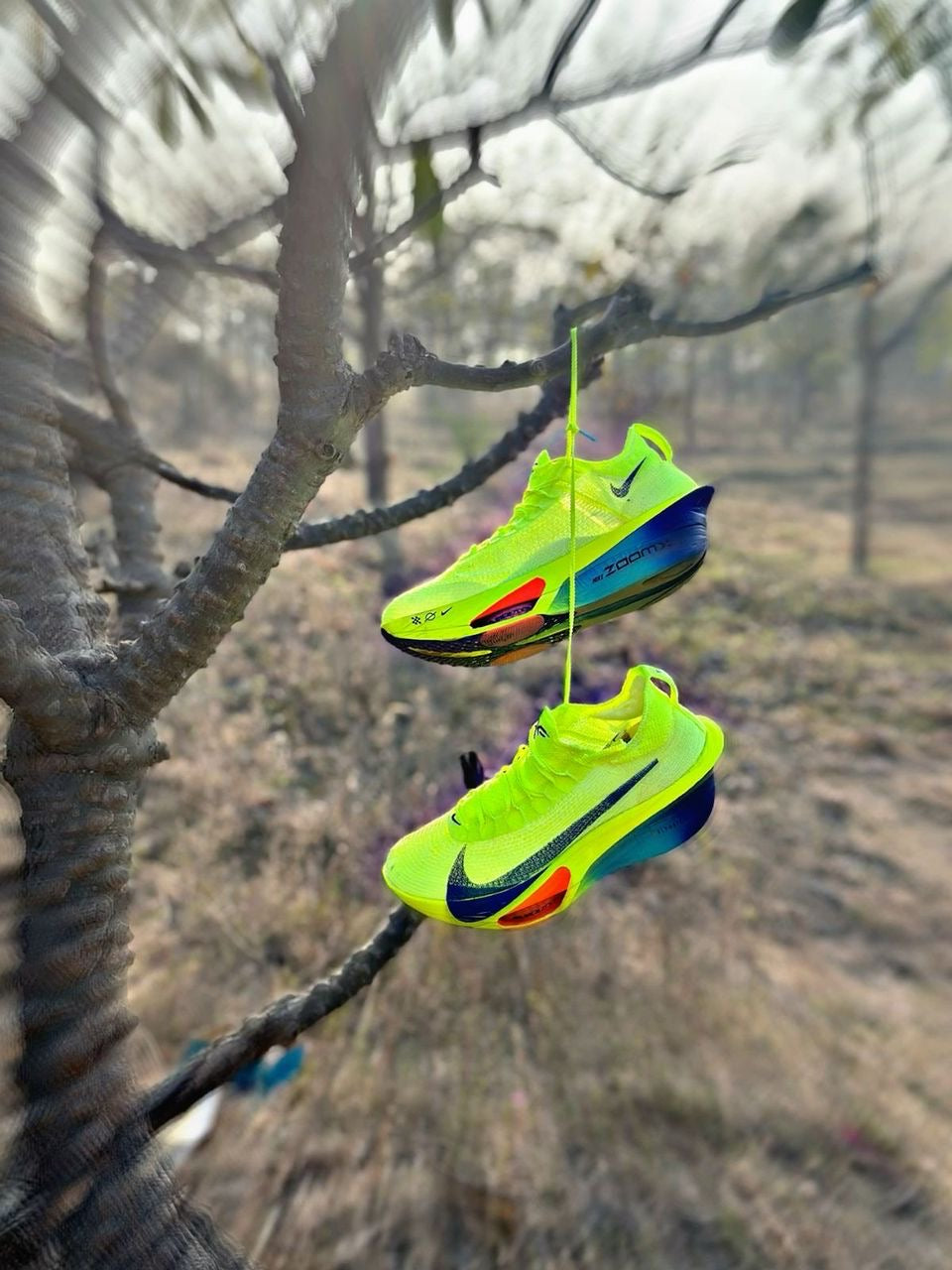 Nike zoom alphafly 3
